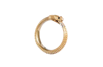 蓝鲸体育