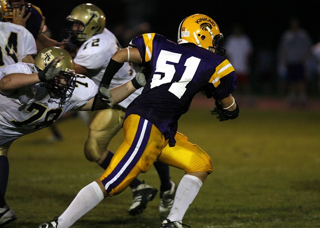 双能卫的价 双能卫的价