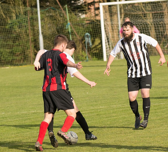 的记忆中 的记忆中