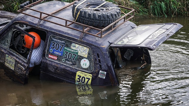张楚桐的领 张楚桐的领
