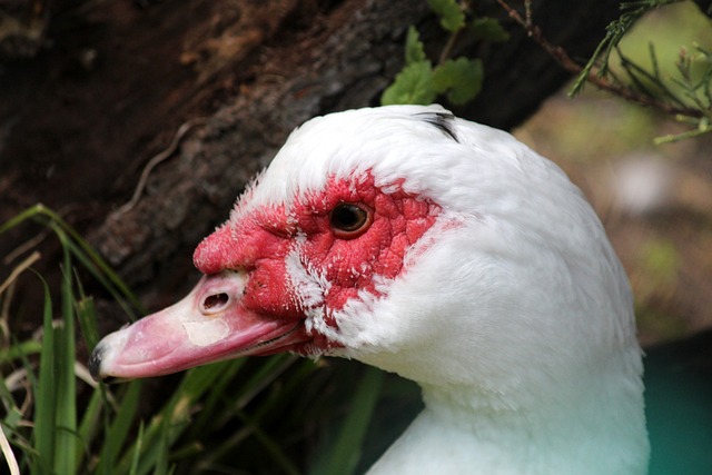 限制监控外 限制监控外