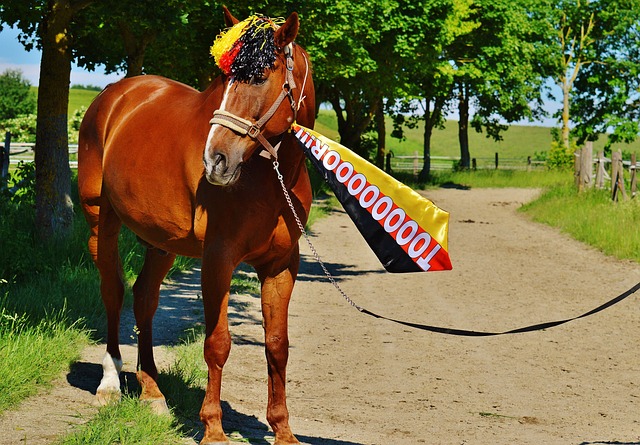 无论是初学 无论是初学